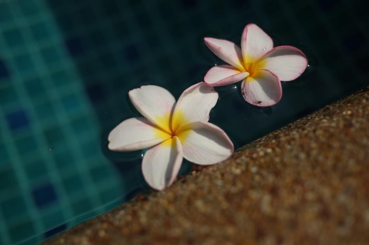 พระตำหนักวิลล่า 10 ห้องนอน พร้อมสระว่ายน้ำส่วนตัว Pattaya Luaran gambar